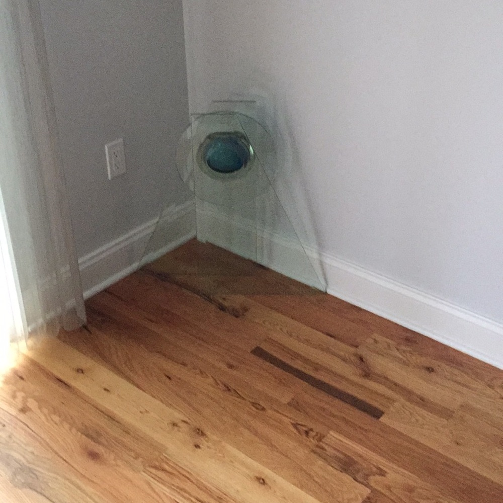 Meet your Posher, Carol